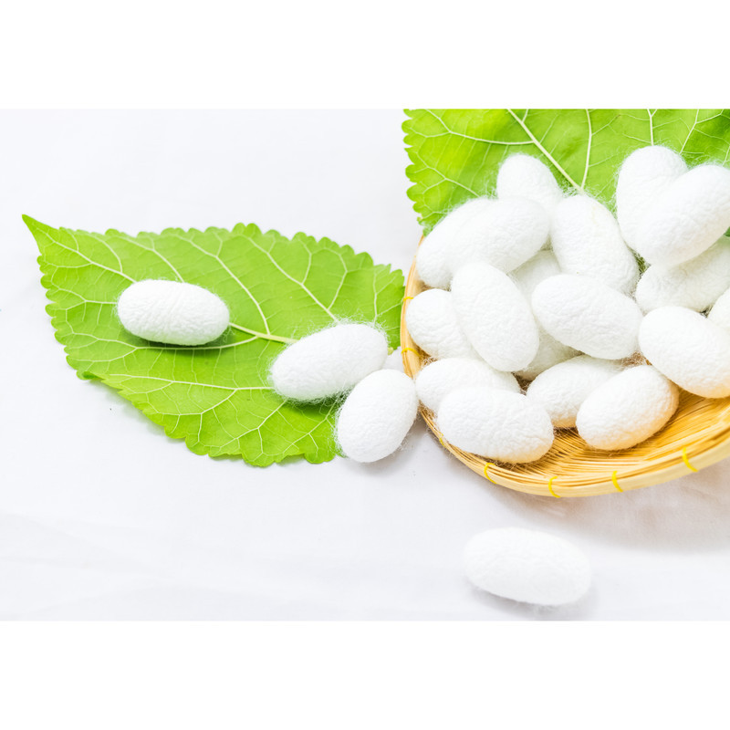 ژل آبرسان نیوشاین مدل آلوئه ورا و پروتئین ابریشم حجم 250 میلی لیتر