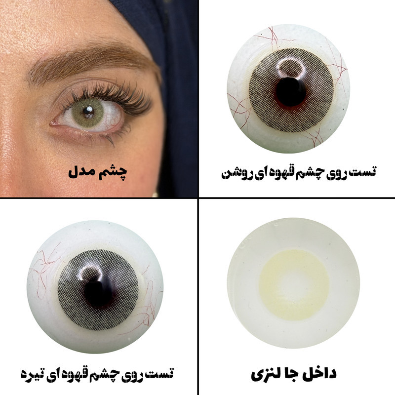 لنز چشم رویال ویژن مدل LEMONY کد 24 رنگ سبز لیمویی روشن بدون دور