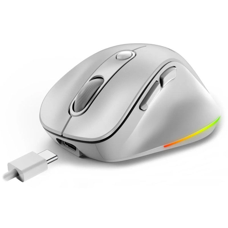 ماوس بی سیم مخصوص بازی جنیوس مدل Ergo 9000S Pro