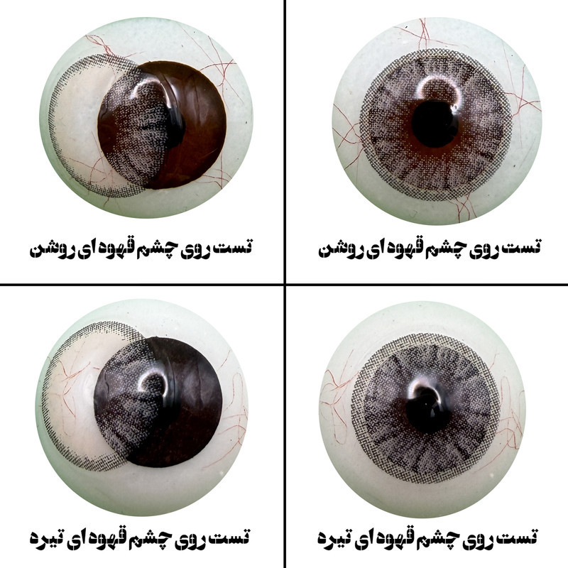 لنز چشم هرا مدل 16 سالانه کد NOB 290  رنگ طوسی عسلی رگه ای دوردار