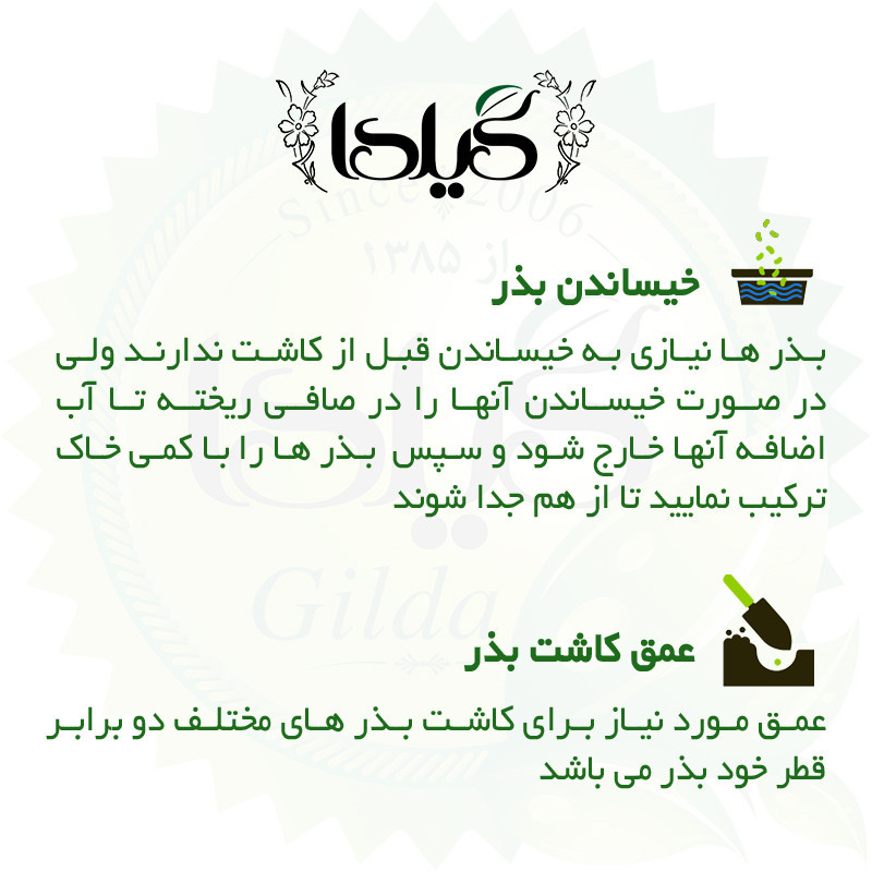 بذر شوید گیلدا کد 122