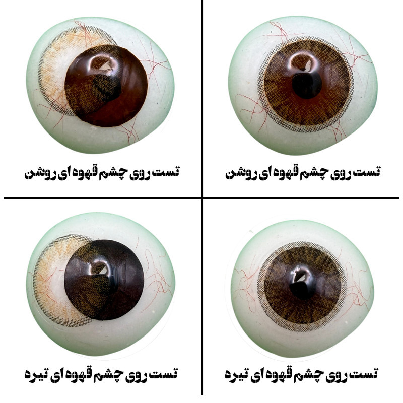 لنز چشم هرا گریس تمیم کانتکت لنز کد 15  رنگ قهوه ای طبیعی دوردار