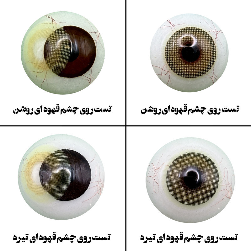 لنز چشم رویال ویژن مدل PIXY BR کد 35 رنگ عسلی با ته مایه سبز بدون دور