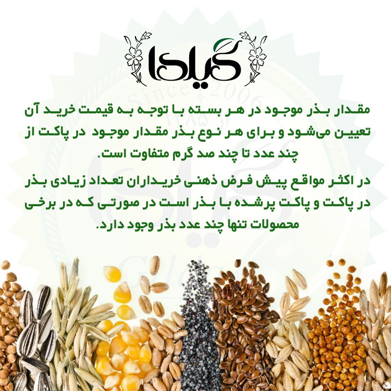بذر ریحان سبز گیلدا کد 111