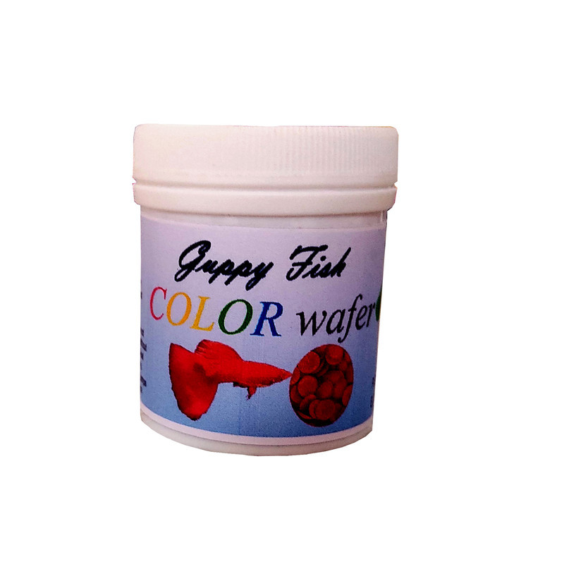 غذای ماهی گوپی مدل spirulina protein وزن 150 گرم بسته 3 عددی