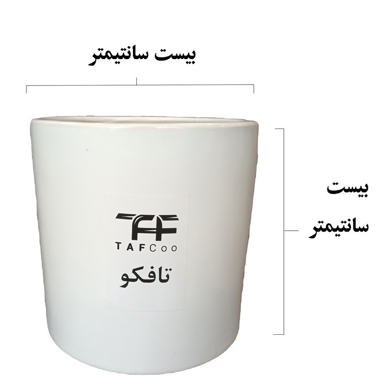 گیاه طبیعی برگ عبایی تافکو کد 1x