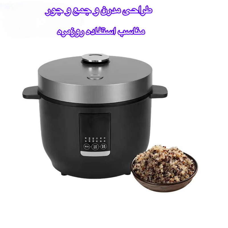 پلوپز 2 نفره مدل QC01