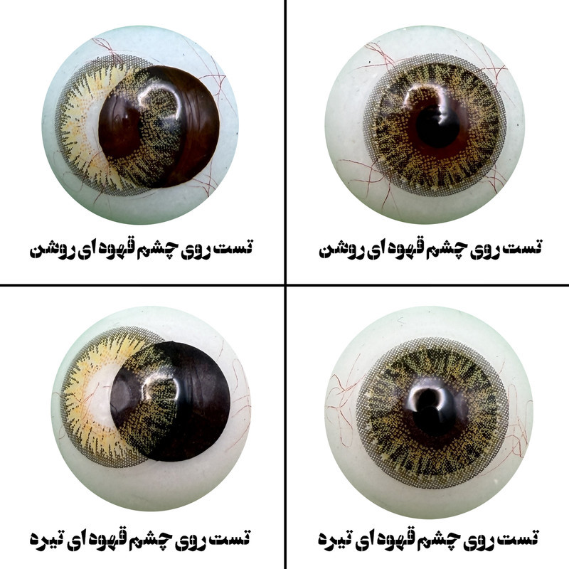 لنز چشم هرا مدل 18 سالانه کد FA320 رنگ سبز عسلی تیره دوردار