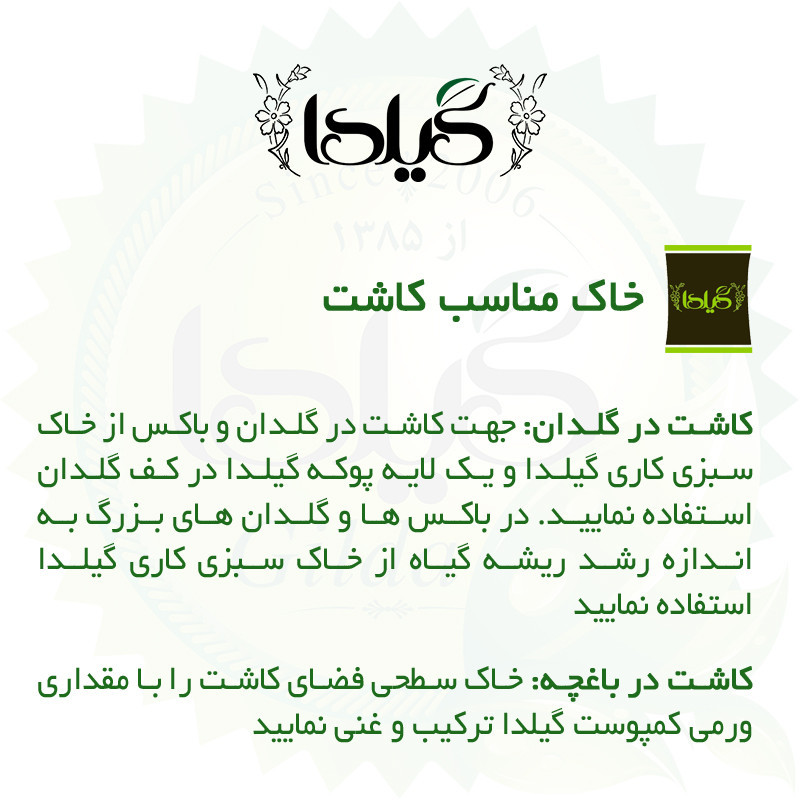 بذر جعفری گیلدا کد 113