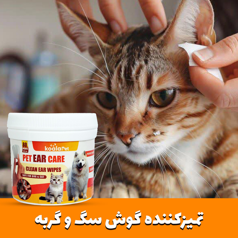 دستمال مرطوب سگ و گربه مخصوص گوش و اطراف چشم کوالاپت مدل  Wipes03 بسته دو عددی