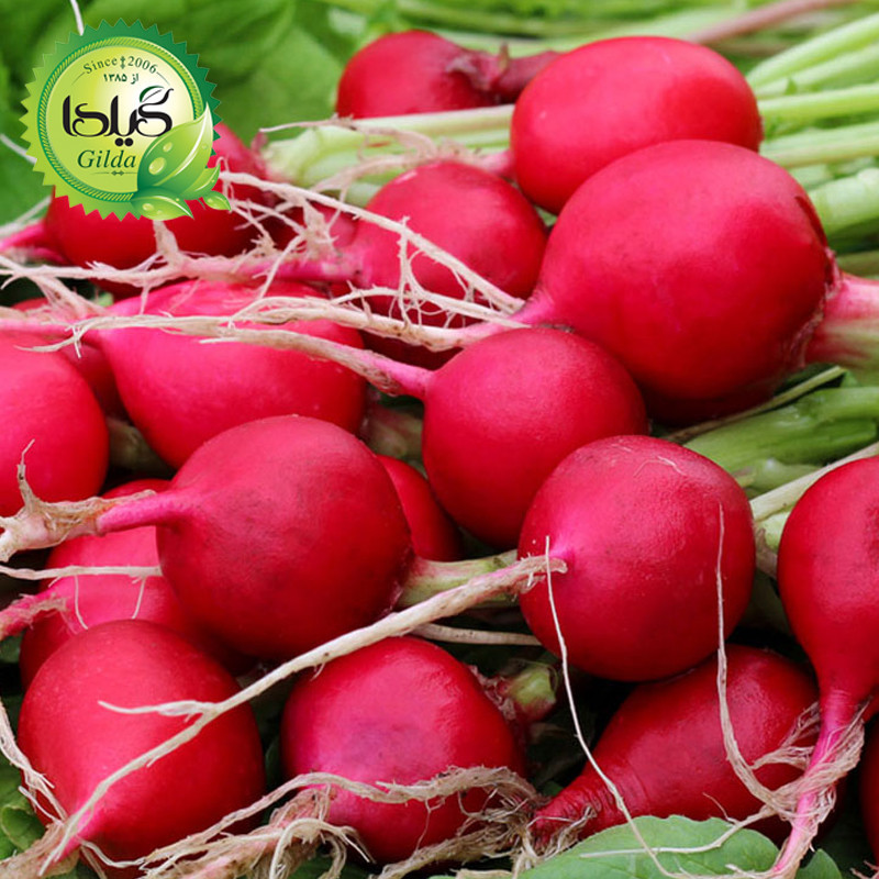 بذر سبزی خوردن گیلدا کد 097 مجموعه 10 عددی