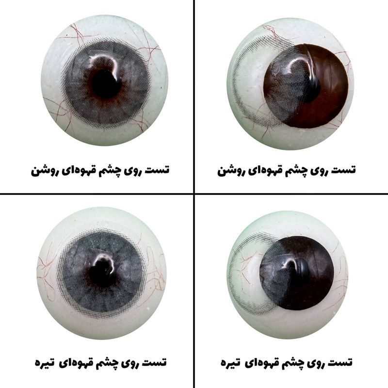 لنز چشم رویال ویژن مدل SMERALE کد 26 رنگ طوسی آبی طبیعی دوردار