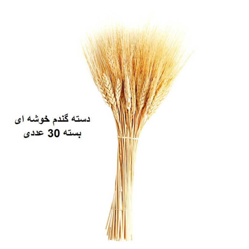 گل خشک مدل خوشه گندم کد30