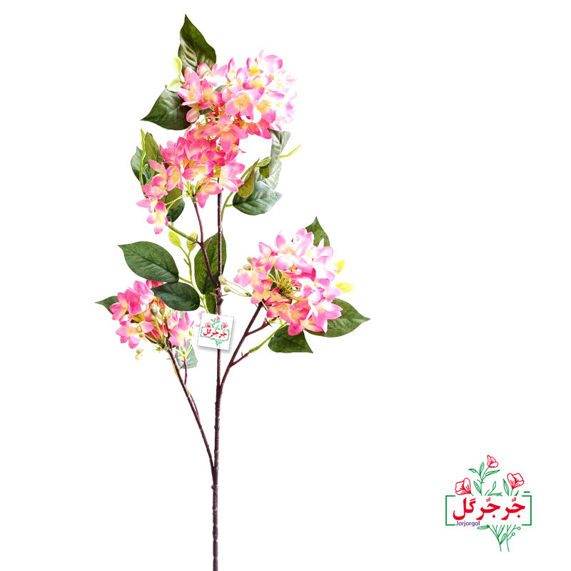 گل مصنوعی جُرجُرگل مدل شاخه شکوفه یاس رومیزی با طراحی 4 بازو، مقاوم در برابر نور و گردوغبار، قابلیت تمیزکاری با دستمال مرطوب، ابعاد 15×10×75 سانتی‌متر، وزن 100 گرم
