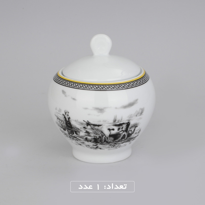 سرویس چینی 102 پارچه غذا خوری چینی زرین ایران سری ایتالیا اف مدل ویلیج درجه یک