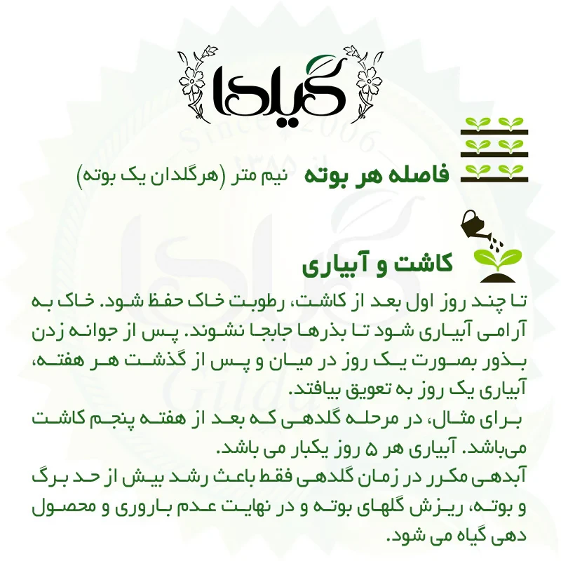 بذر گوجه درختی زیتونی گیلدا کد 576