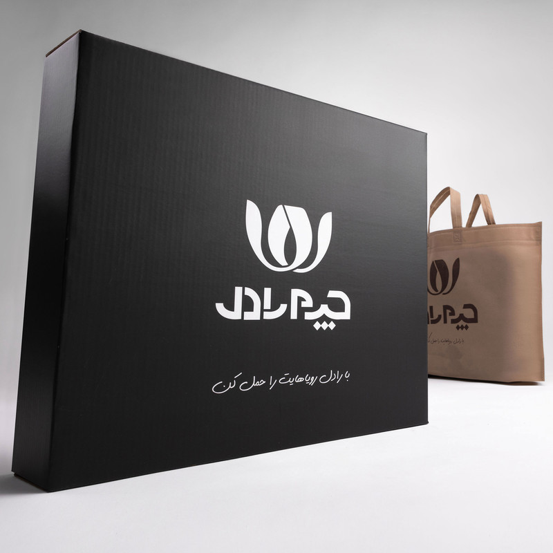 کوله پشتی چرم رادل مدل سه کاره ویرا کد V8220_001