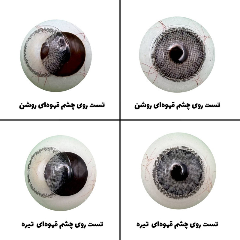 لنز چشم رویال ویژن مدل GRAYNESS کد 01 رنگ طوسی سبز طبیعی دور دار