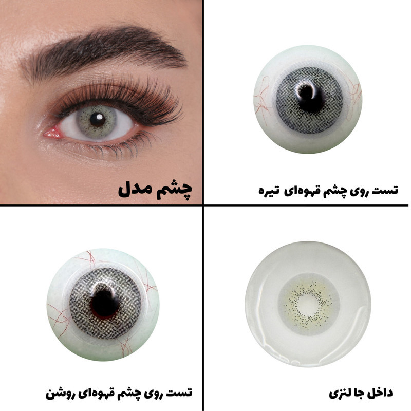 لنز چشم رویال ویژن مدل LAZORD کد 19 رنگ سبز عسلی بدون دور