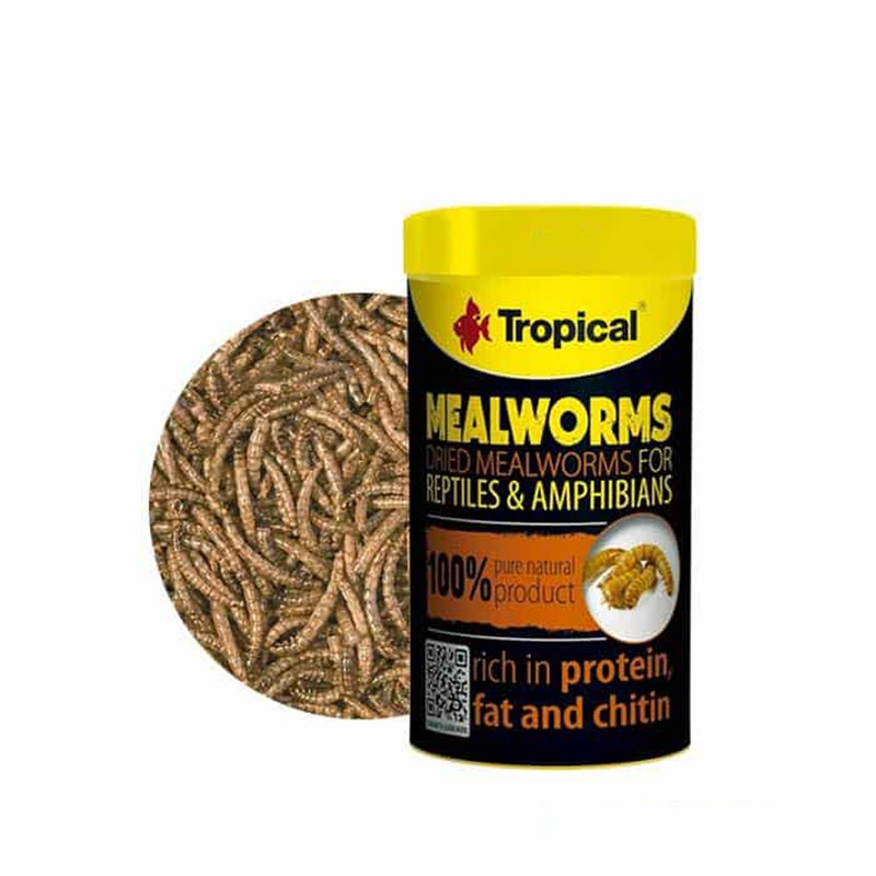 غذای ماهی تروپیکال مدل Mealworms