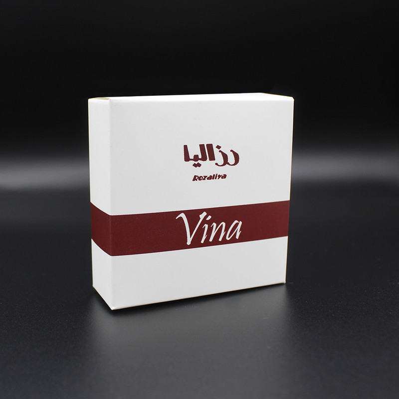 گردنبند مردانه رزالیا طرح دوربین مدل Vina-NM-L-27