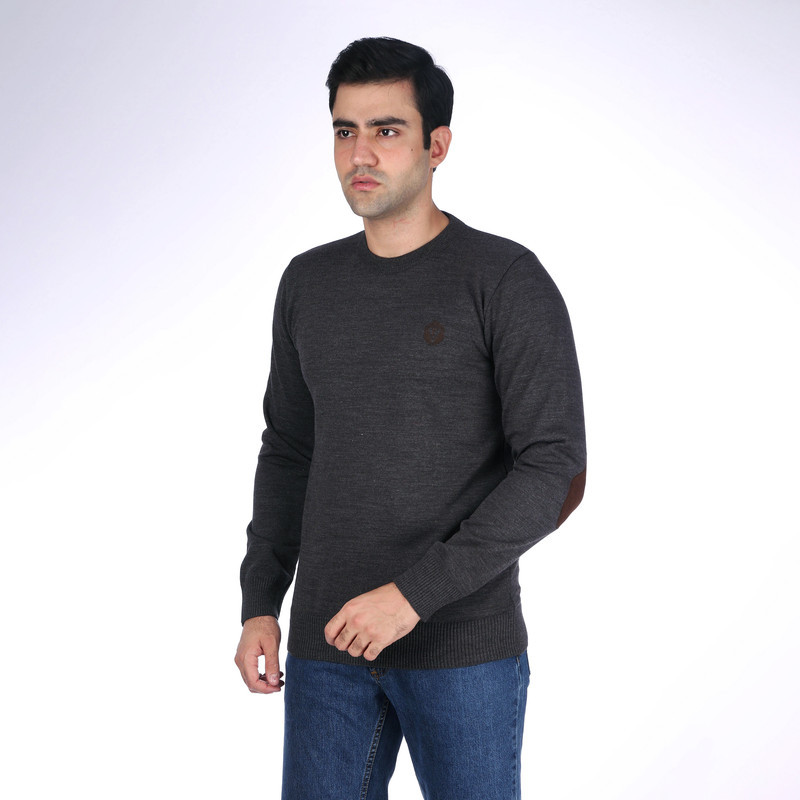 پلیور یقه گرد مردانه تریکو پاییزان مدل PR700