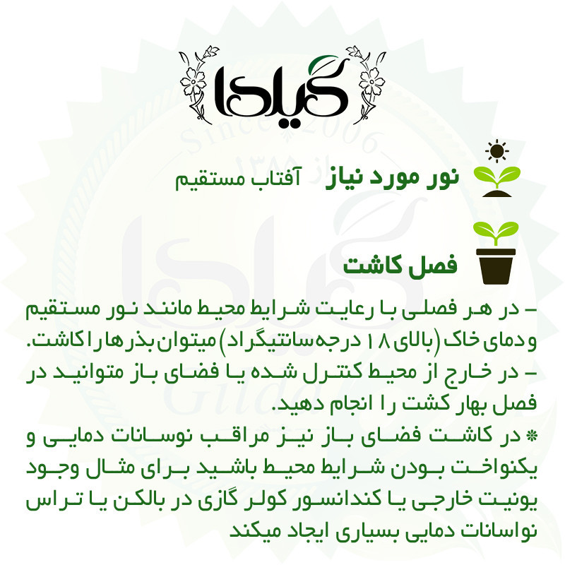 بذر ریحان میکس گیلدا کد 109