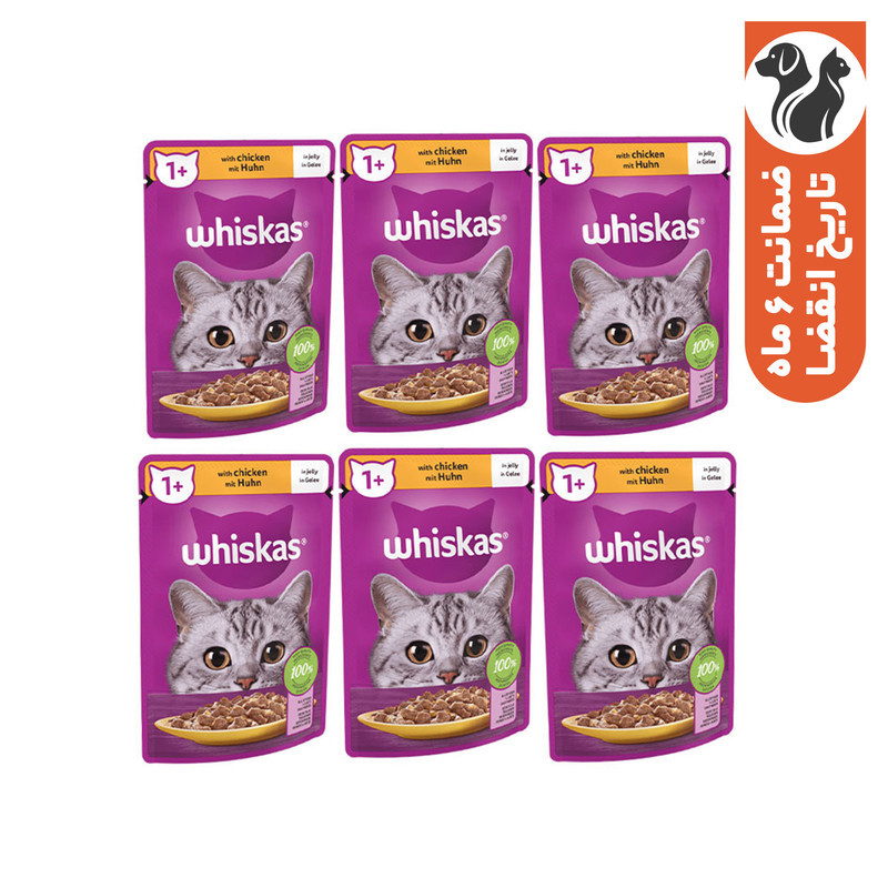 پوچ گربه ویسکاس مدل Chicken وزن 85 گرم بسته 6 عددی