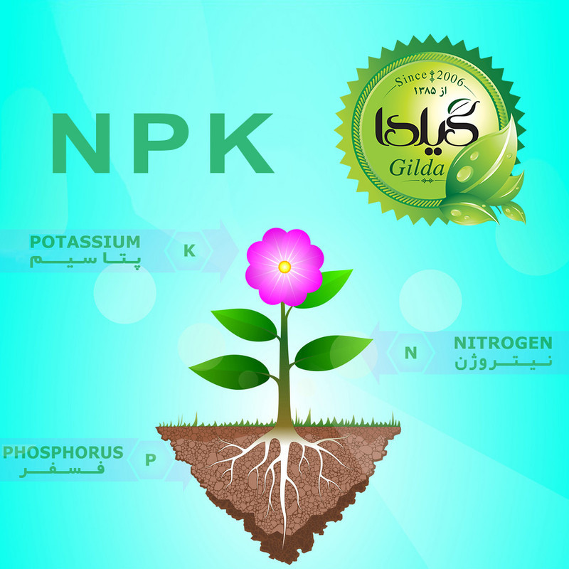 کود مایع کامل NPK افزایش پاجوش و ریشه زایی گیلدا مدل فسفر بالا حجم 120 میلی لیتر