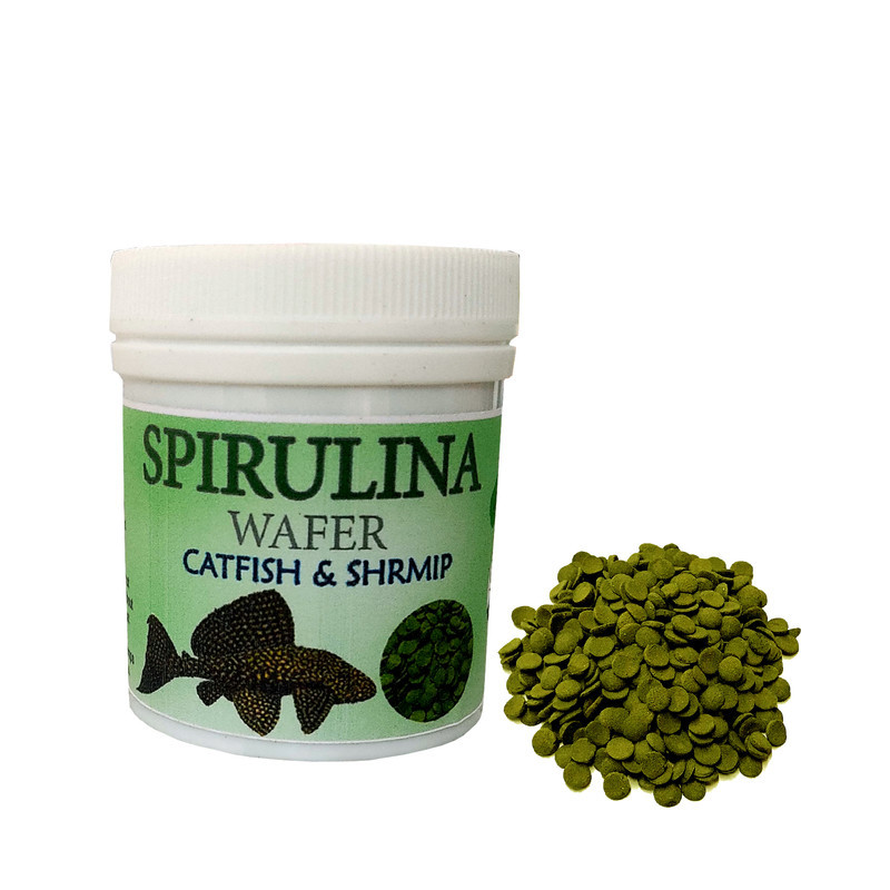 غذای آبزیان مدل کتفیش و کفخوار spirulina wafer وزن 50 گرم