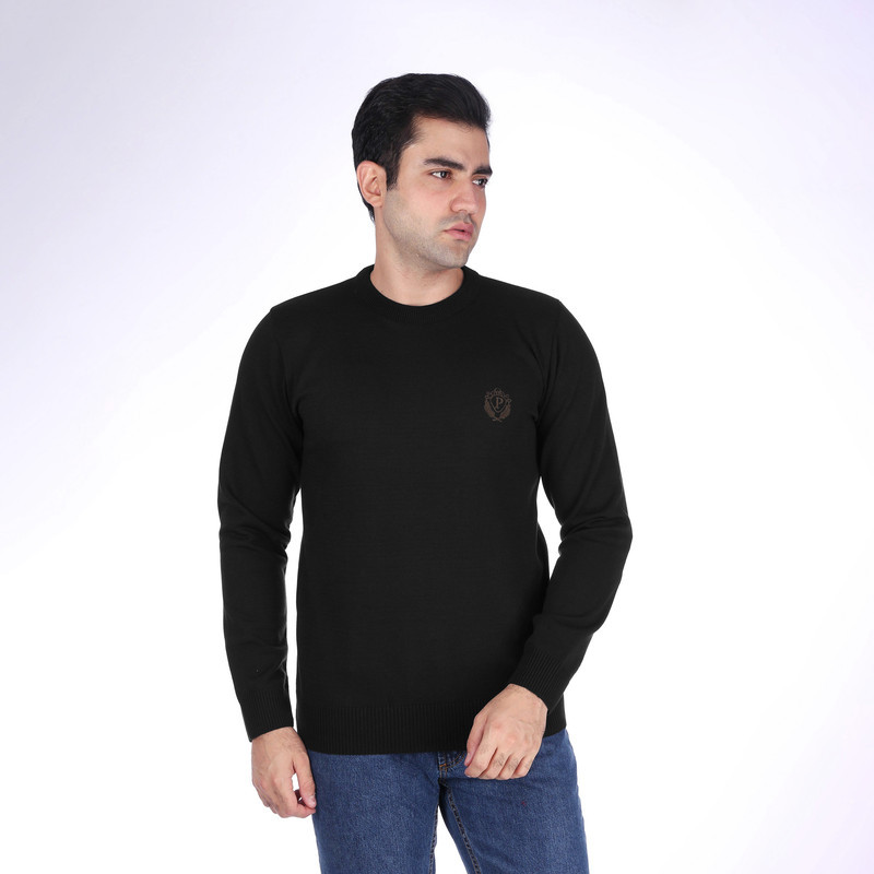 پلیور یقه گرد مردانه تریکو پاییزان مدل  PR700