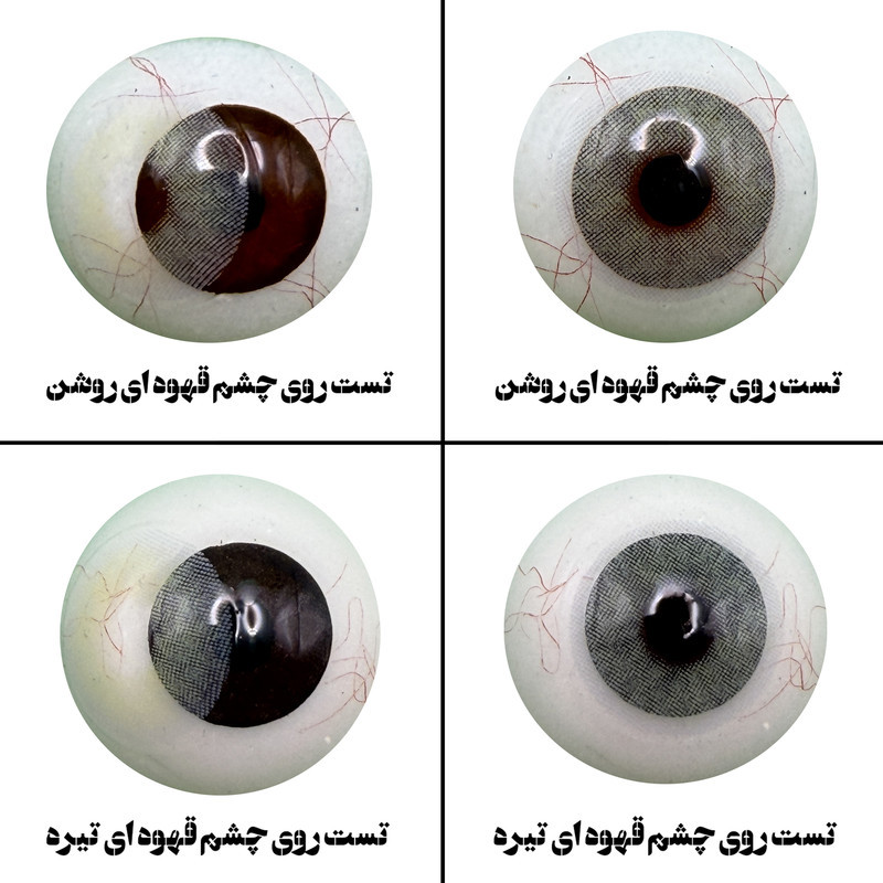 لنز چشم هرا مدل سالانه 06 کد SCA210 رنگ طوسی سبز روشن بدون دور