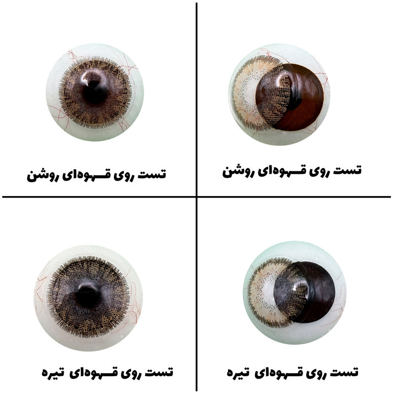 لنز چشم رویال ویژن مدل LUMIRERE HAZEL کد 11 رنگ طوسی عسلی دوردار