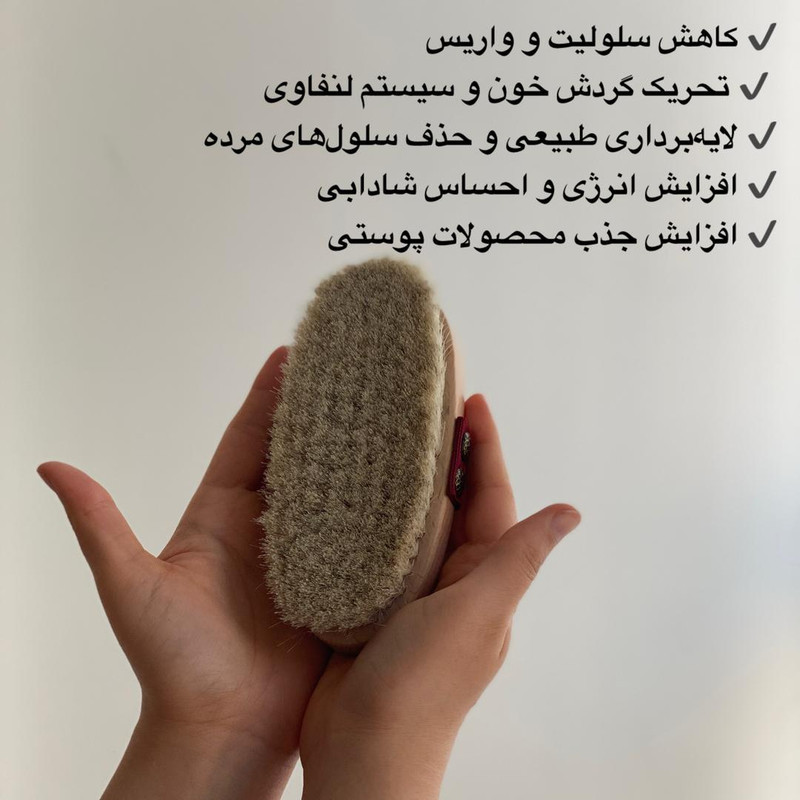 برس شستشوی بدن مگ مدل موی اسب