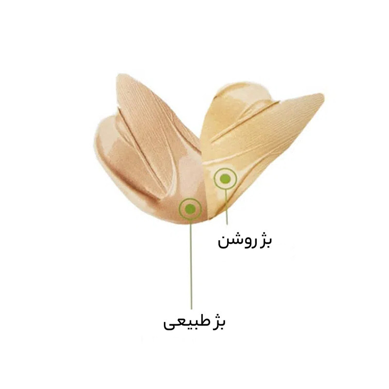 کرم ضد جوش ژیناژن مدل ACL حجم 35 میلی لیتر
