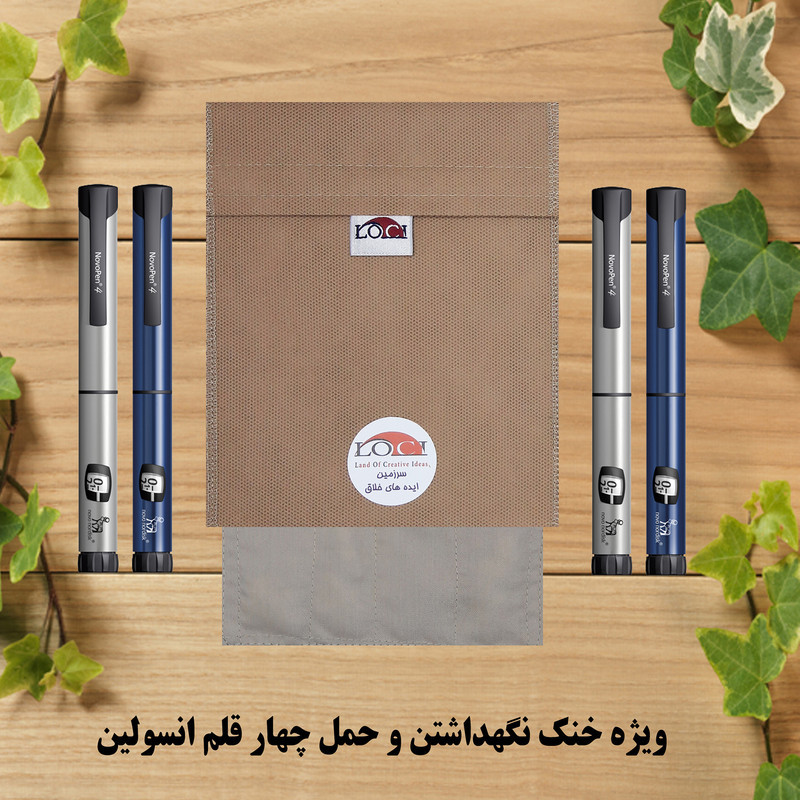 کیف خنک نگهدارنده انسولین لوک آی مدل 4 قلم کد 00 مجموعه 2 عددی