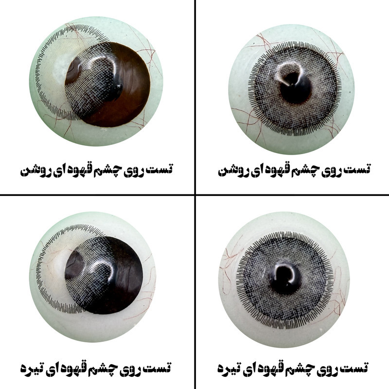 لنز چشم رویال ویژن مدل DREAM GR کد 02 رنگ طوسی طبیعی دوردار