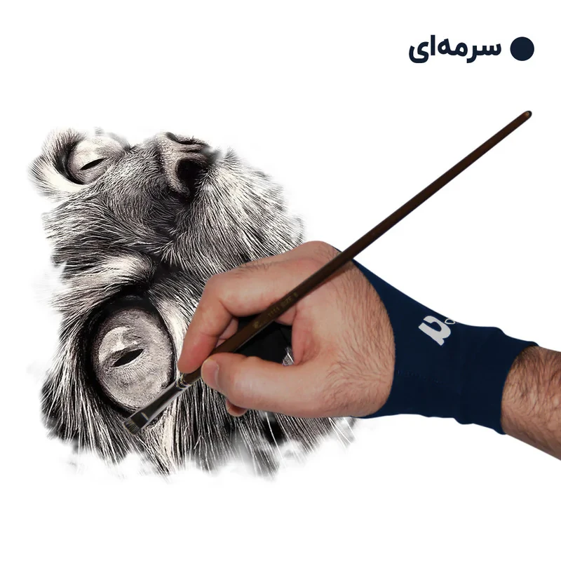 دستکش طراحی مدل B2S