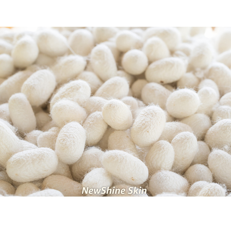 ژل آبرسان نیوشاین مدل آلوئه ورا و پروتئین ابریشم حجم 250 میلی لیتر