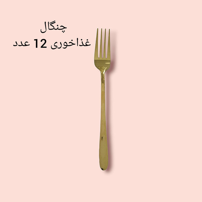 سرویس قاشق و چنگال 60 پارچه مدل دونا کد 351