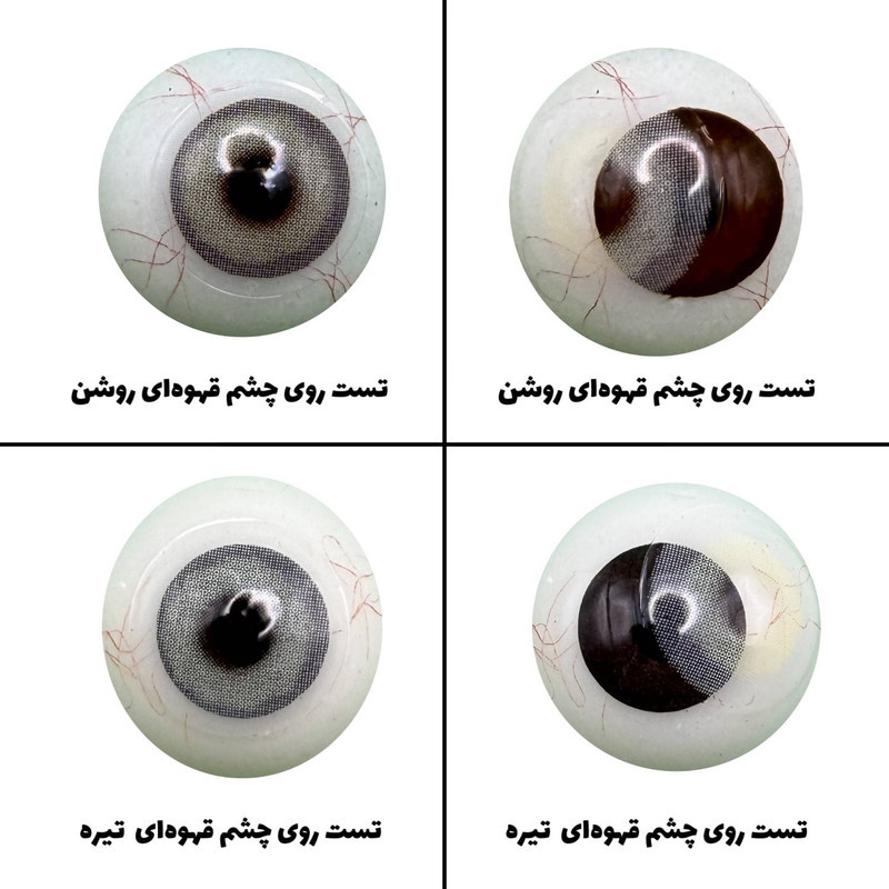 لنز چشم رویال ویژن مدل PIXY GRAY کد 31 رنگ طوسی روشن بدون دور