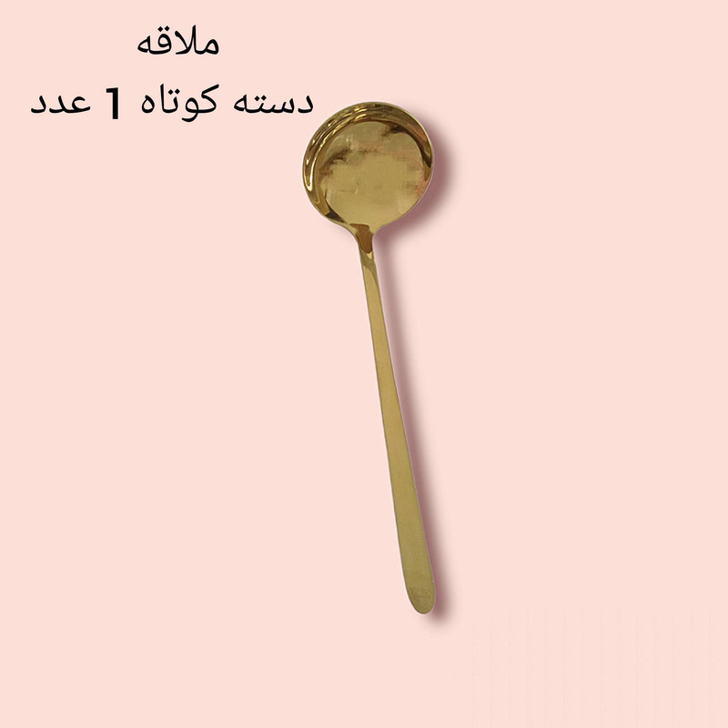 سرویس قاشق و چنگال 60 پارچه مدل دونا کد 351