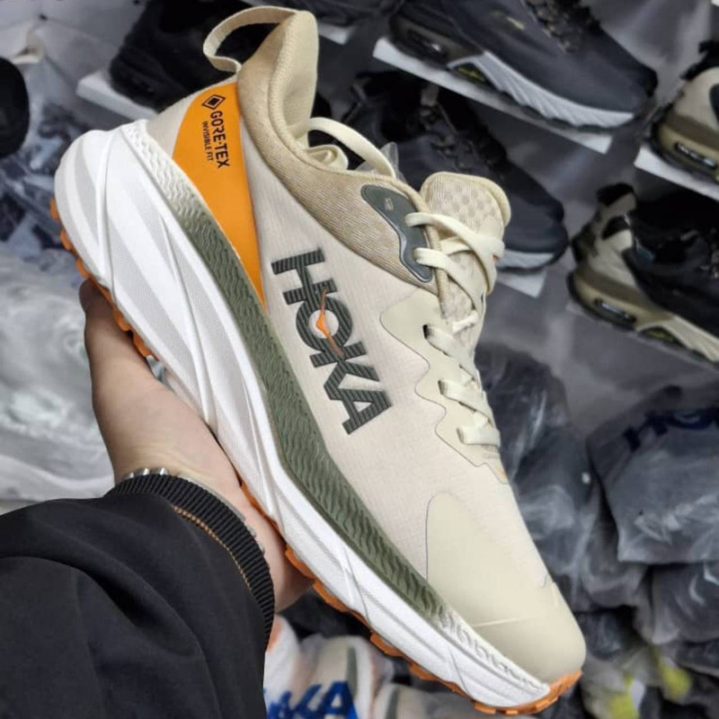 کفش مخصوص دویدن مردانه هوکا مدل Gore-TEX ATR 7
