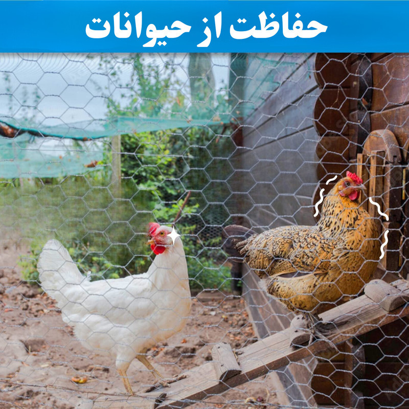 توری مدل مرغی گالوانیزه کد G12045 طول 45 متر