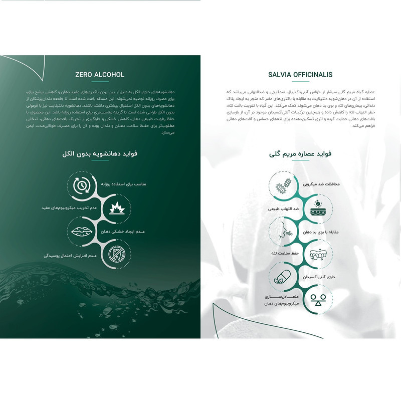 دهان شویه دنتیلایت مدل Postbiotic حجم 500 میلی‌لیتر