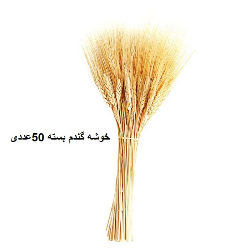 دسته گل خشک مدل خوشه گندم کد 50