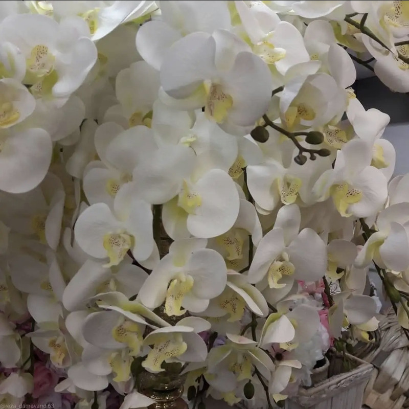 گل مصنوعی مدل گل ارکیده