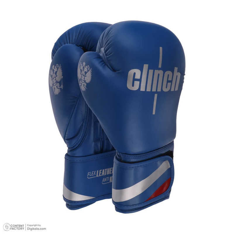 دستکش بوکس مدل Fiter pro 2025