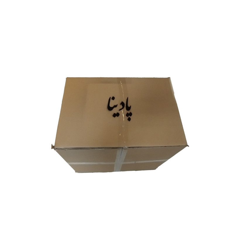 لوستر پادینا مدل مدرن کد NB200