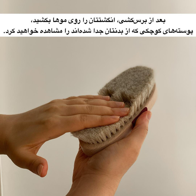 برس شستشوی بدن مگ مدل موی اسب